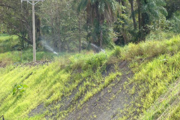 gallery_image
