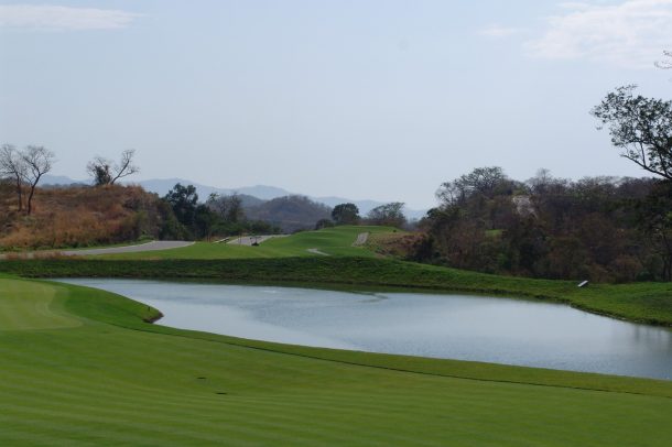 gallery_image